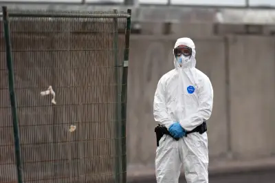 Hantavirus-Ausbruch auf Kreuzfahrtschiff: Kein neues Corona