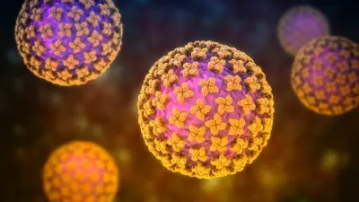 Hantavirus: Symptome, Übertragung und Gefahren – was Sie wissen müssen