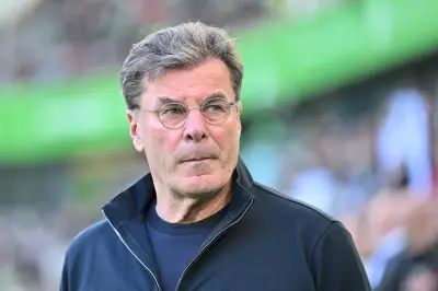 Hecking: Würde auch Bayerns C- und B-Spieler nehmen