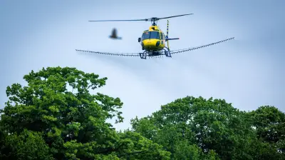 Hubschraubereinsatz gegen Eichenprozessionsspinner in Jessen