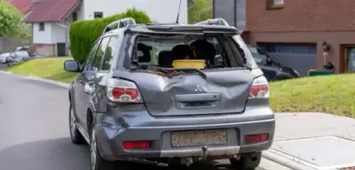 Jungbulle randaliert in Hessen: Polizei muss Tier erschießen lassen