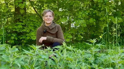 Kräuterfrau Birgit Dahler: Löwenzahn-Salzstangen und Giersch gegen Rheuma