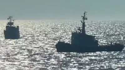 Livestream: Timmy-Crew kehrt nach Hause zurück