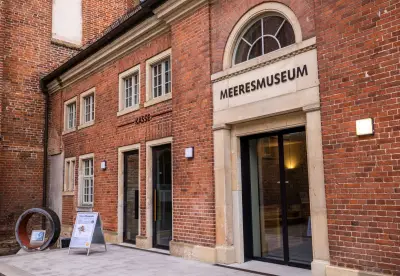 Meeresmuseum hofft auf Untersuchung des toten Buckelwals vor Dänemark