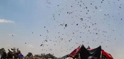 Mikroplastik in der Luft erwärmt die Atmosphäre stärker als gedacht