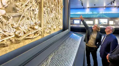 Museen in Sachsen-Anhalt: Sorge um kleine Häuser trotz stabiler Besucherzahlen