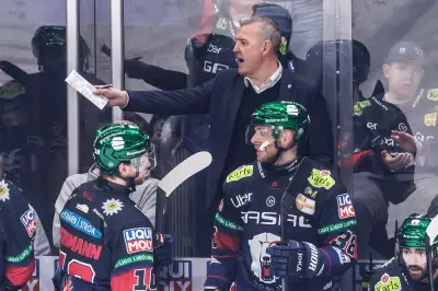 Nach Meistertitel: Verlässt Trainer Aubin die Eisbären Berlin?