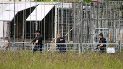 Nach Tiger-Ausbruch: So viele Raubkatzen leben privat in Deutschland