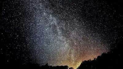 Naturerlebnis in Mecklenburg: Sternenhimmel, Seeadler und Wisente