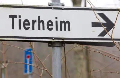 OVG bestätigt Beschlagnahmung von 68 verwahrlosten Hunden in Brome