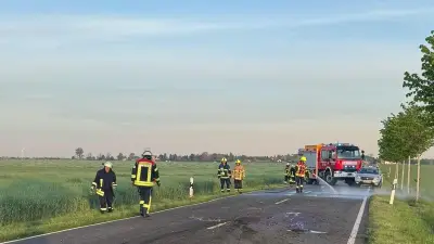 Pferd stirbt bei Unfall auf L136 bei Thurland: 15.000 Euro Schaden
