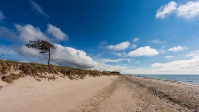 Radparadies Fischland-Darß-Zingst: Die schönsten Touren für Entdecker