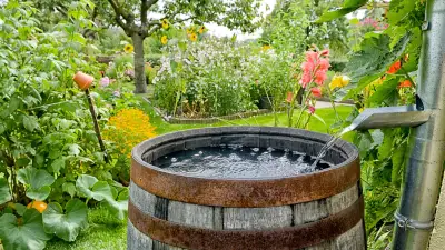 Regenwasser-Gebühren: Erfassungsbogen in Mansfeld sorgt für Verwirrung