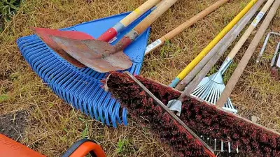 Rotary Action Day: Ascherslebener Club erneuert elf Bänke auf der Alten Burg