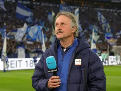 Schalke nicht bundesligatauglich? Neururer fordert sechs bis sieben Neuzugänge