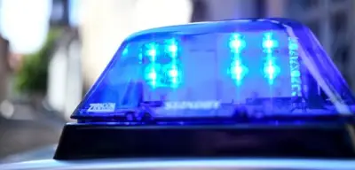 Selbstschussanlage verletzt Frau bei Hundesuche schwer