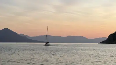 Seltene weiße Delfine tauchen vor Touristenboot in China auf