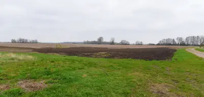 Solarpark in Libbesdorf: Ortschaftsrat unter Druck