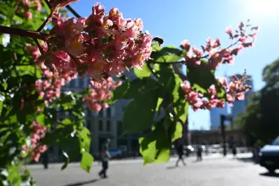 Sommerwetter bis 28 Grad: Hohe Waldbrandgefahr in Brandenburg