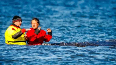 SPD kontert CDU-Kritik an Backhaus nach Wal-Drama in Ostsee