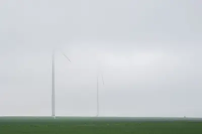Starkregen und Gewitter im Süden Niedersachsens erwartet