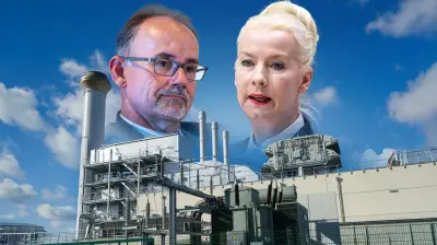 Streit um Kraftwerksabbau: Minister kontert AfD-Forderung