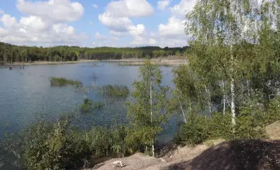 Tagebaugebiet Zipsendorf Süd bei Zeitz vorläufig unter Naturschutz gestellt