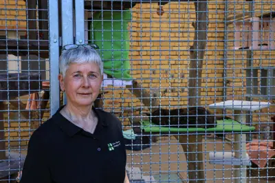 Tierheim Wittenberg: Appell an Tierfreunde beim Tag der offenen Tür