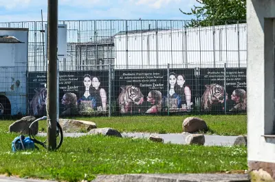 Tiger-Ausbruch bei Leipzig: Staatsanwaltschaft ermittelt und Tierschützer protestieren