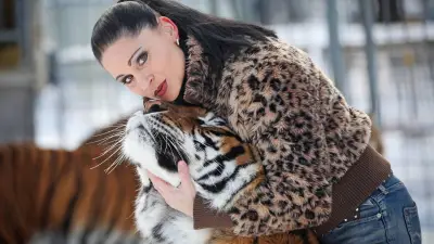 Tigerattacke in Schkeuditz: Justiz ermittelt gegen „Tigerkönigin“