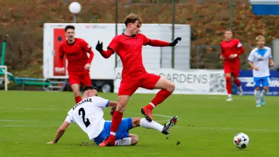 TSG Neustrelitz ohne Trainer Franke gegen Spitzenreiter Tasmania Berlin