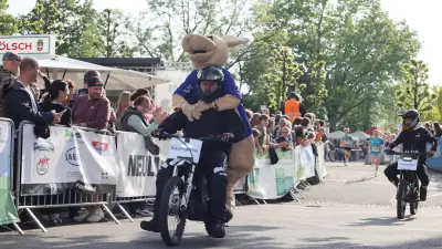 Unfall: Maskottchen „Gummi“ verbrennt sich Schwanz am Auspuff