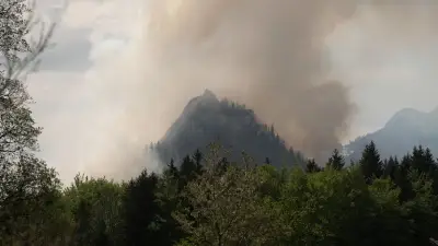 Waldbrand am Saurüsselkopf: Elf Hubschrauber im Einsatz