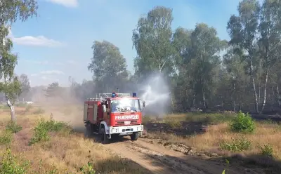 Waldbrand auf Truppenübungsplatz bei Jüterbog breitet sich weiter aus