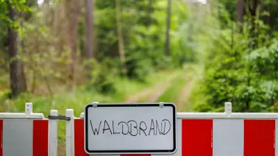 Waldbrand bei Feldberg: Kriminalpolizei ermittelt wegen Zigarettenkippe