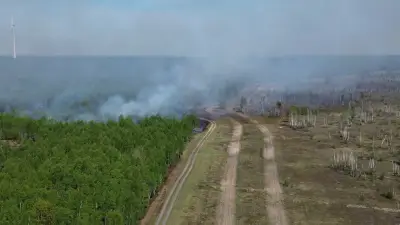 Waldbrand bei Jüterbog eingedämmt: 152 Hektar betroffen