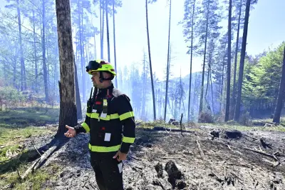 Waldbrand in Böhmischer Schweiz: Feuer nicht unter Kontrolle, Hoffnung auf Regen