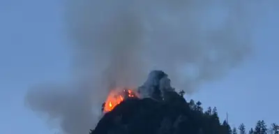 Waldbrände in Deutschland: Feuerwehr im Großeinsatz an mehreren Orten