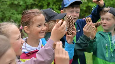 Waldwoche in Aschersleben: Grundschüler entdecken Natur mit allen Sinnen