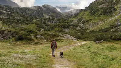 Wandern mit Hund in den Alpen: Diese Hütten erlauben Vierbeiner