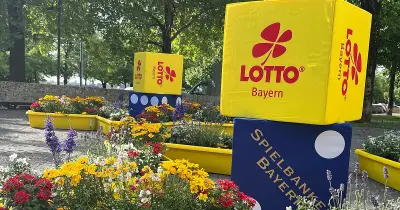 Weltbienentag: Gewinnen Sie einen von 25 Blumenkästen