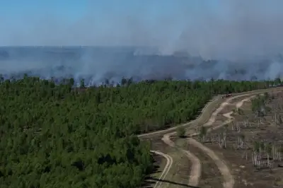 Woidke lobt Feuerwehr-Einsatz bei Waldbrand bei Jüterbog