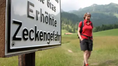 Zecken-Gefahr in Sachsen-Anhalt: So schützen Sie sich vor FSME und Borreliose
