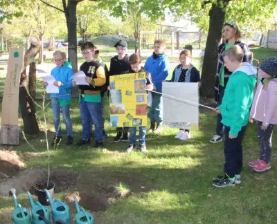 Zitterpappel-Pflanzung: Klimabildung an Grundschule Holzdorf