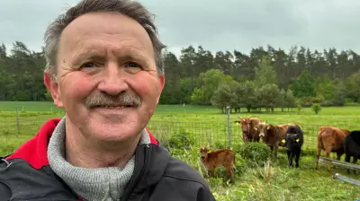Zwergzebus in der Uckermark: Diese Rinder trotzen Wölfen und Giftpflanzen