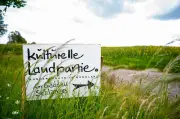 37. Kulturelle Landpartie im Wendland: Kunst, Politik und Demokratie