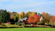 5 herbstliche Highlights in Mecklenburg-Vorpommern, die Sie erleben sollten