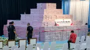 500 Mio. Euro aus illegalem Waldraub: Geldberg in Jakarta übergeben