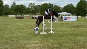 51. Reitturnier in Eldena: Magnet für Reitsportbegeisterte