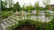64 neue Parkplätze am Stadtring in Sangerhausen eröffnet